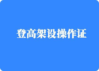 极品抠逼流水登高架设操作证